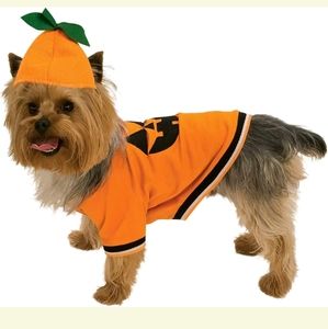 Rubie's Pet Shop Boutique Pumpkin Pet Costume Small
